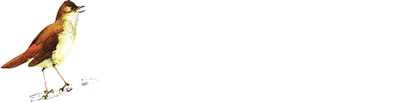 Nightingale Property Management