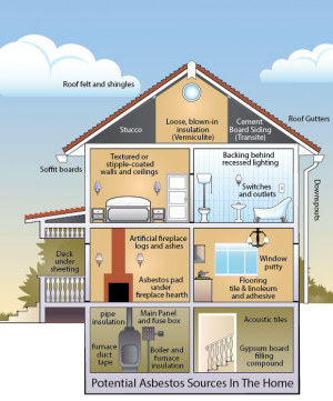 house section 2 asbestos.pg