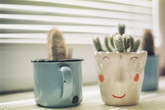 cactus